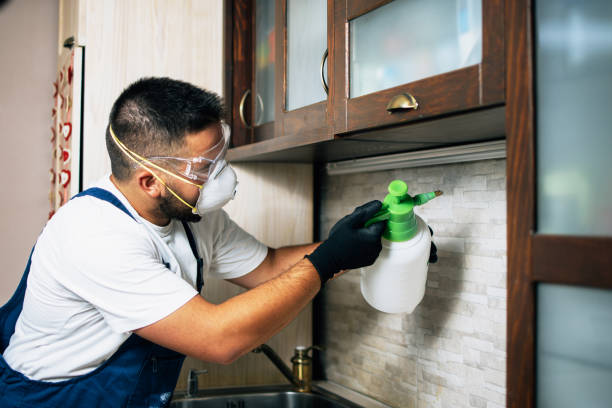 Best Pest Control Near Me  in Russellville, AR