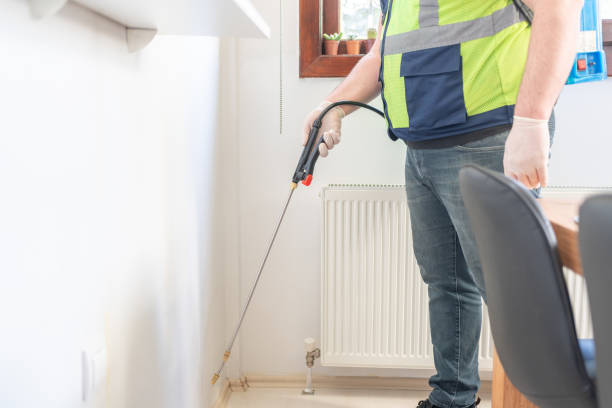 Best Mosquito Control Services  in Russellville, AR